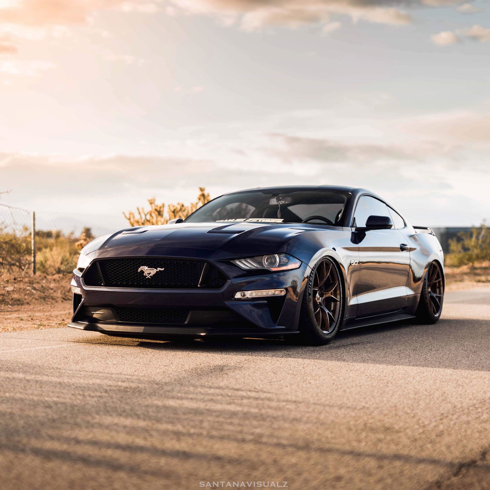 ●　Darda Ultra-Speed マスタング Darda - Darda Ultra Speed Hot Rod Twin Pack - Mustang