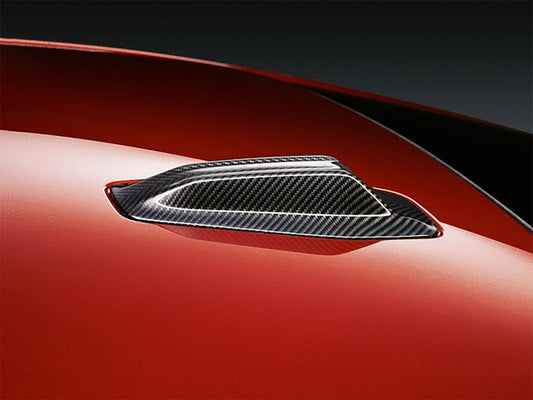 AutoTecknic Dry Carbon Roof Antenna Cover - G60 5-Series | G70 7-Series - Graveyard Performance