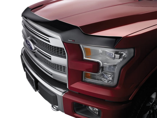 WeatherTech 06-10 Honda Civic (Coupe) Hood Protector - Black - Graveyard Performance