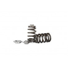 Kelford 4G63DOHC  PACALOY Spring / Ret set