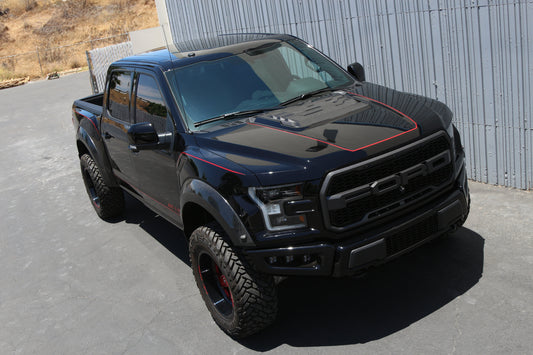 APR Performance Carbon Fiber Ford F-150 Raptor Hood Vent 2017-2020
