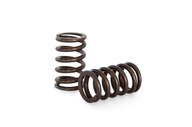Kelford NISSAN RB26 HIGH PERFORMANCE SPRING SET