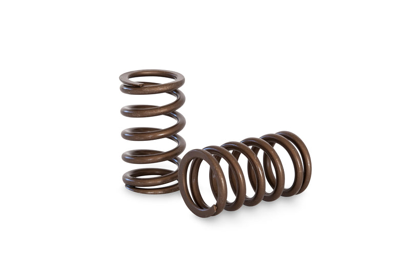 Kelford NISSAN RB20 RACE SPRING SET