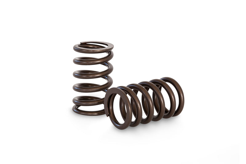 Kelford TOYOTA 1FZ & TB48 RACING VALVE SPRING SET
