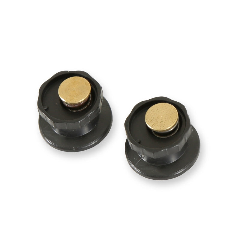 RaceQuip Pro Shield Tearoff Posts 2 Pak - Graveyard Performance
