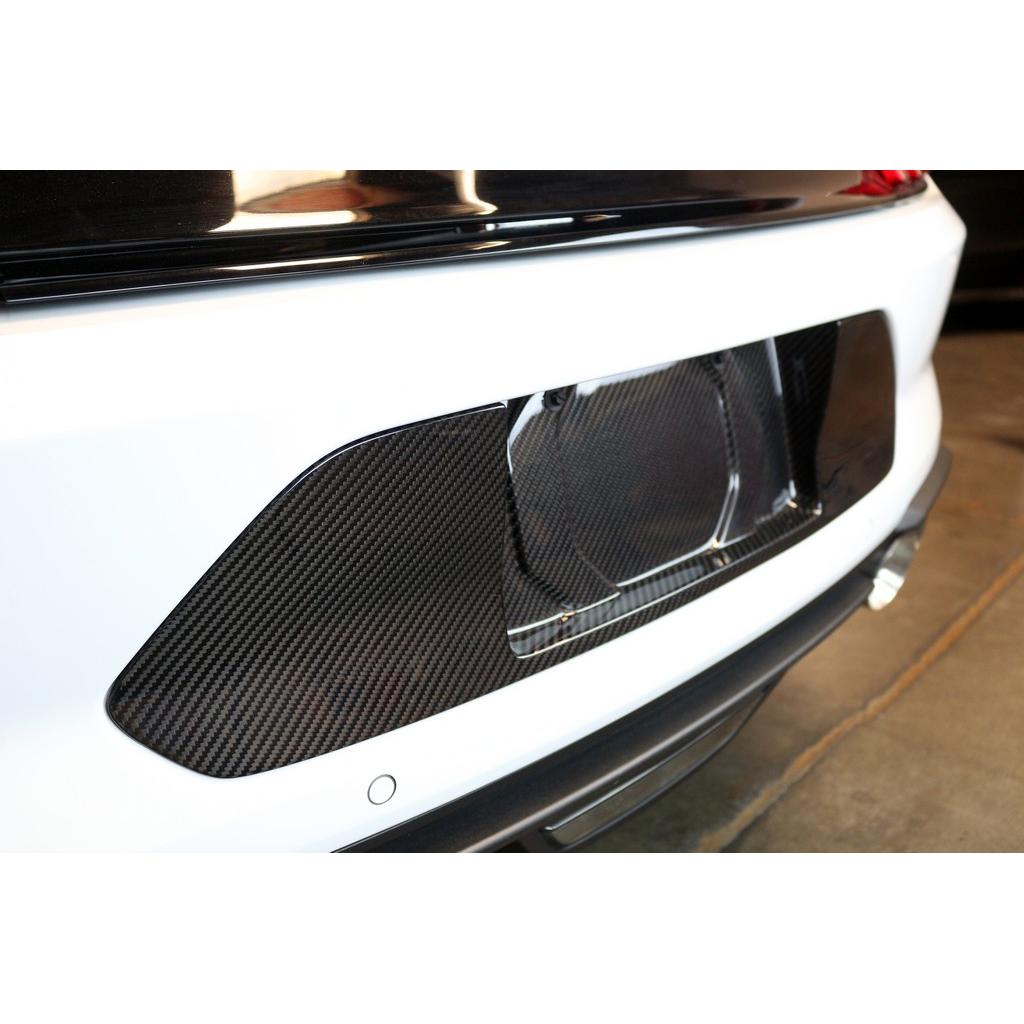 APR Performance Carbon Fiber Ford Mustang License Plate Backing 2018-2023