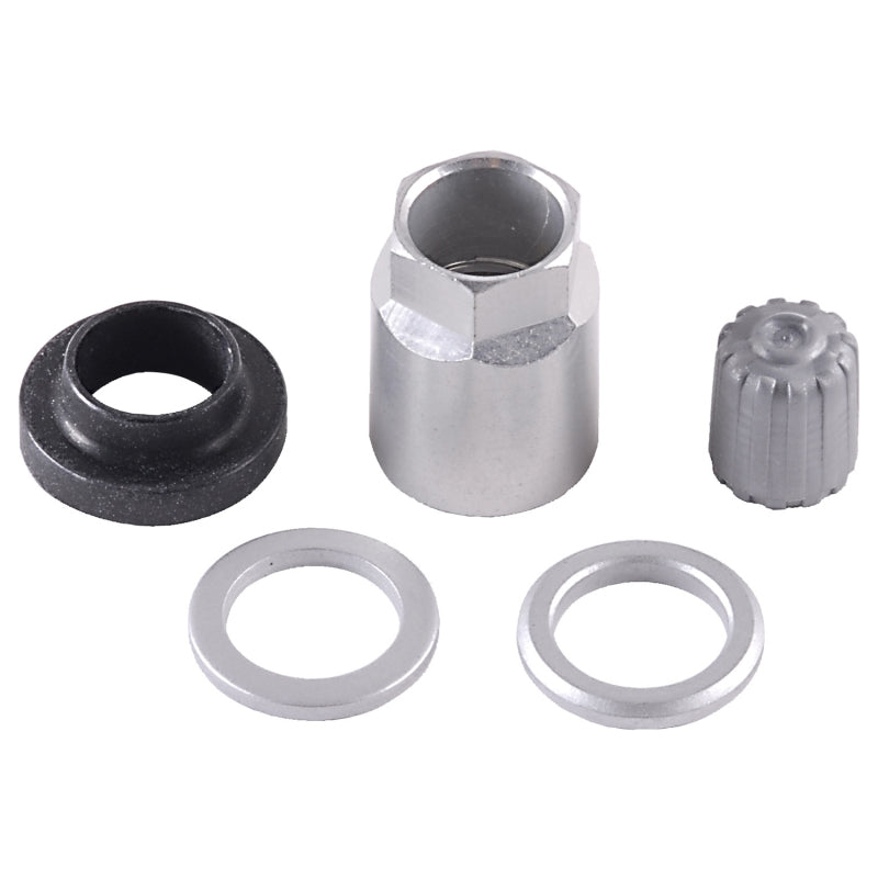 Schrader TPMS Service Pack - Beru Stems (No Valve) - 25 Pack - Graveyard Performance
