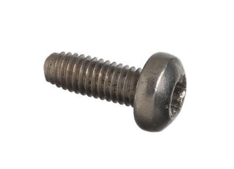 Schrader Replacement T-10 Screws - 25 Pack - Graveyard Performance