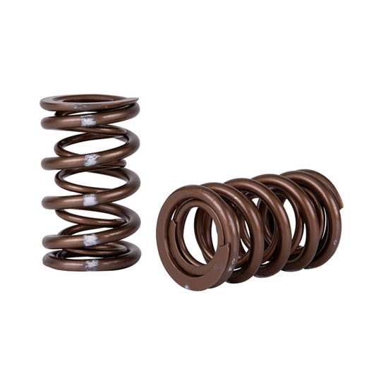 Skunk2 Pro Series Honda/Acura K-Series i-VTEC XP Valve Spring Set (Dual Springs) - Graveyard Performance