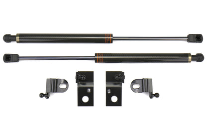 OLM Carbon Hood Damper Kit - 2013+ FT86 - Graveyard Performance