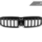 AutoTecknic Dry Carbon Fiber Dual-Slats Front Grilles - G20 3-Series Pre-LCI