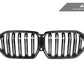 AutoTecknic Replacement Dry Carbon Front Grille - F96 X6M | G06 X6