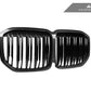 AutoTecknic Dual-Slats Dry Carbon Front Grille - G07 X7 Pre-LCI