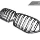 AutoTecknic Replacement Dry Carbon Front Grille - F96 X6M | G06 X6