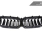 AutoTecknic Dry Carbon Fiber Dual-Slats Front Grilles - G30 5-Series LCI