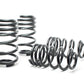 H&R 03-04 Audi RS6/RS6 Avant (AWD) Sport Spring