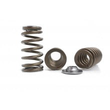 Kelford BA TURBO 6 RACE SPRING AND RETAINER KIT
