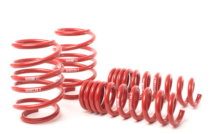H&R 08-13 BMW M3 Coupe/M3 Sedan E92 Race Spring - Graveyard Performance