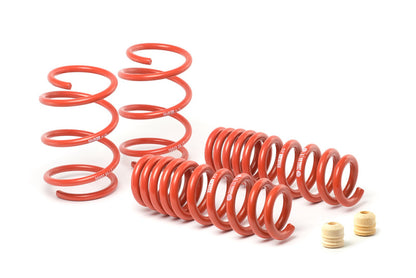 H&R 15-20 BMW M4 Cabrio F83 Sport Spring (Incl. Adaptive M Susp./Incl. Competition Package) - Graveyard Performance