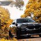 AutoTecknic Performance Dry Carbon Front Lip Set - G06 X6 M-Sport
