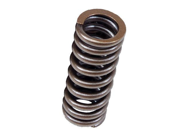 BLOX Racing Valve Springs for D-series SOHC VTEC D16Z-Y (1.6L SOHC VTEC) - Graveyard Performance