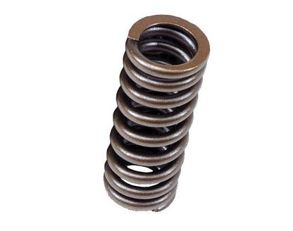 BLOX Racing Valve Springs for D-series SOHC VTEC D16Z-Y (1.6L SOHC VTEC) - Graveyard Performance