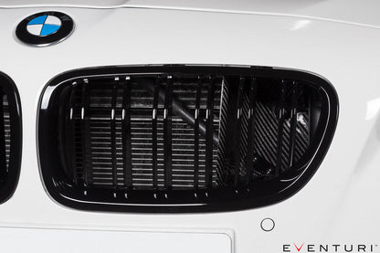 Eventuri BMW F10 M5 Black Carbon Intake System