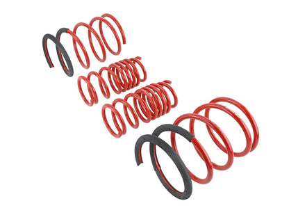 Skunk2 02-04 Acura RSX Lowering Springs (2.25in - 2.00in.) (Set of 4) - Graveyard Performance