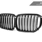 AutoTecknic Dual-Slat Dry Carbon Front Grille - G05 X5 Pre-LCI