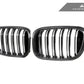 AutoTecknic Dry Carbon Fiber Dual-Slats Front Grille Set - G01 X3 | G02 X4 Pre-LCI