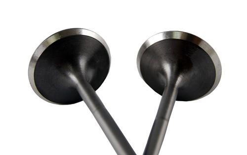 BLOX Racing High Compression Exhaust Valve Set for Honda F20C (set 0f 8) - Graveyard Performance
