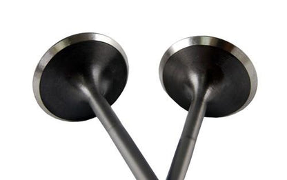 BLOX Racing High Compression Exhaust Valve Set for Honda F20C (set 0f 8) - Graveyard Performance