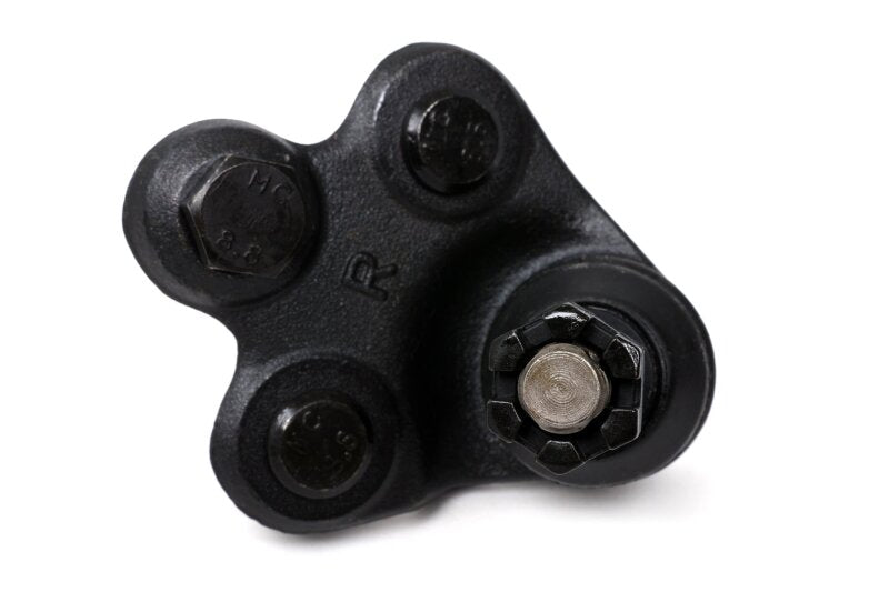 BLOX Racing Roll Center Adjusters / Extended Front Ball Joints - 06-11 Honda Civic (Pair) - Graveyard Performance