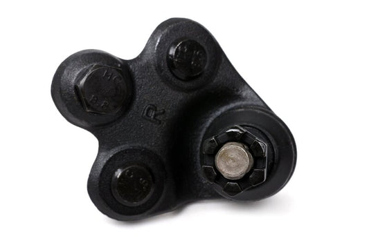 BLOX Racing Roll Center Adjusters / Extended Front Ball Joints - 06-11 Honda Civic (Pair) - Graveyard Performance