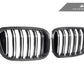 AutoTecknic Dry Carbon Fiber Dual-Slats Front Grille Set - G01 X3 | G02 X4 Pre-LCI