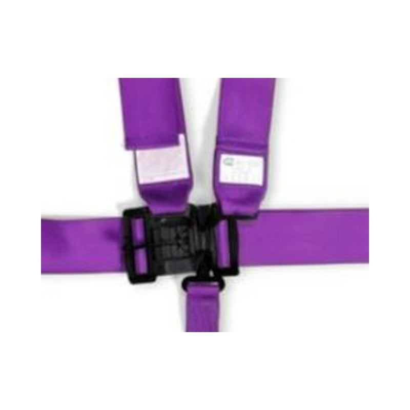 RaceQuip Purple L & L 5pt Seat Belt - Graveyard Performance