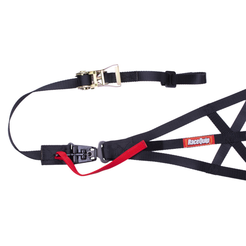 RaceQuip Black SFI 37.1 Side Roll Cage Net - Graveyard Performance