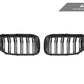 AutoTecknic Dual-Slats Carbon Fiber Front Grille Set - G30 5-Series