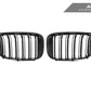 AutoTecknic Dry Carbon Fiber Dual-Slats Front Grille Set - G01 X3 | G02 X4 Pre-LCI