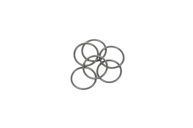 Radium Engineering O-Ring Service Kit - 30mm Injector Seat - Set of 6 - Graveyard Performance