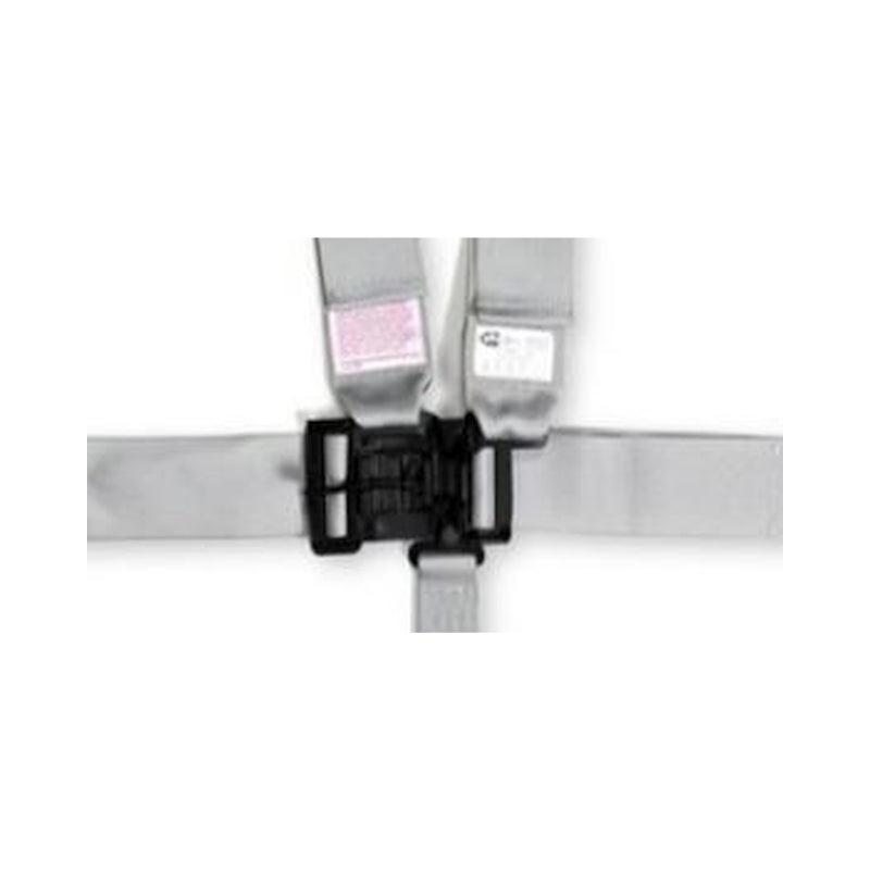 RaceQuip Platinum L & L 5pt Seat Belt - Graveyard Performance