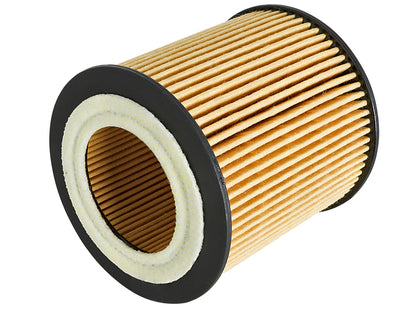 aFe Pro GUARD D2 Oil Filter 06-19 BMW Gas Cars L6-3.0T N54/55 - 4 Pack - Graveyard Performance
