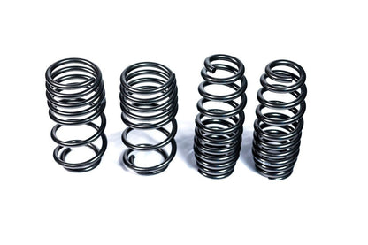 MMX Performance G8X M3 / M4 Lowering Spring Set