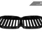 AutoTecknic Dry Carbon Fiber Front Grille - G07 X7 LCI