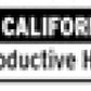 Husky Liners 2013 Honda Accord WeatherBeater Black Trunk Liner (4-Door Sedan Only)