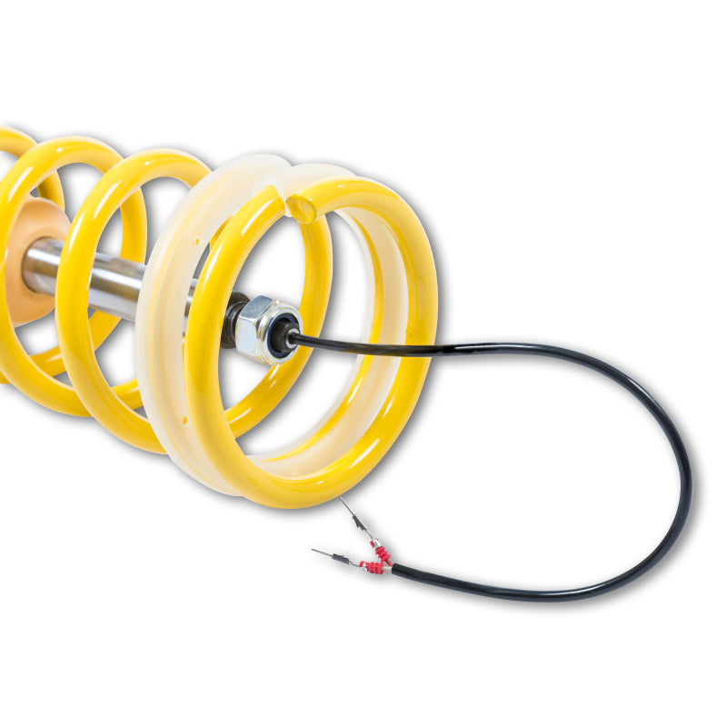KW Coilover Kit DDC ECU BMW M4 (F82) Coupe - Graveyard Performance
