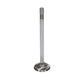 Manley 99-12 Ford 4.6L/281 5.4L/330 V8 37mm Race Series Stainless Steel Intake Valves (Set of 8)
