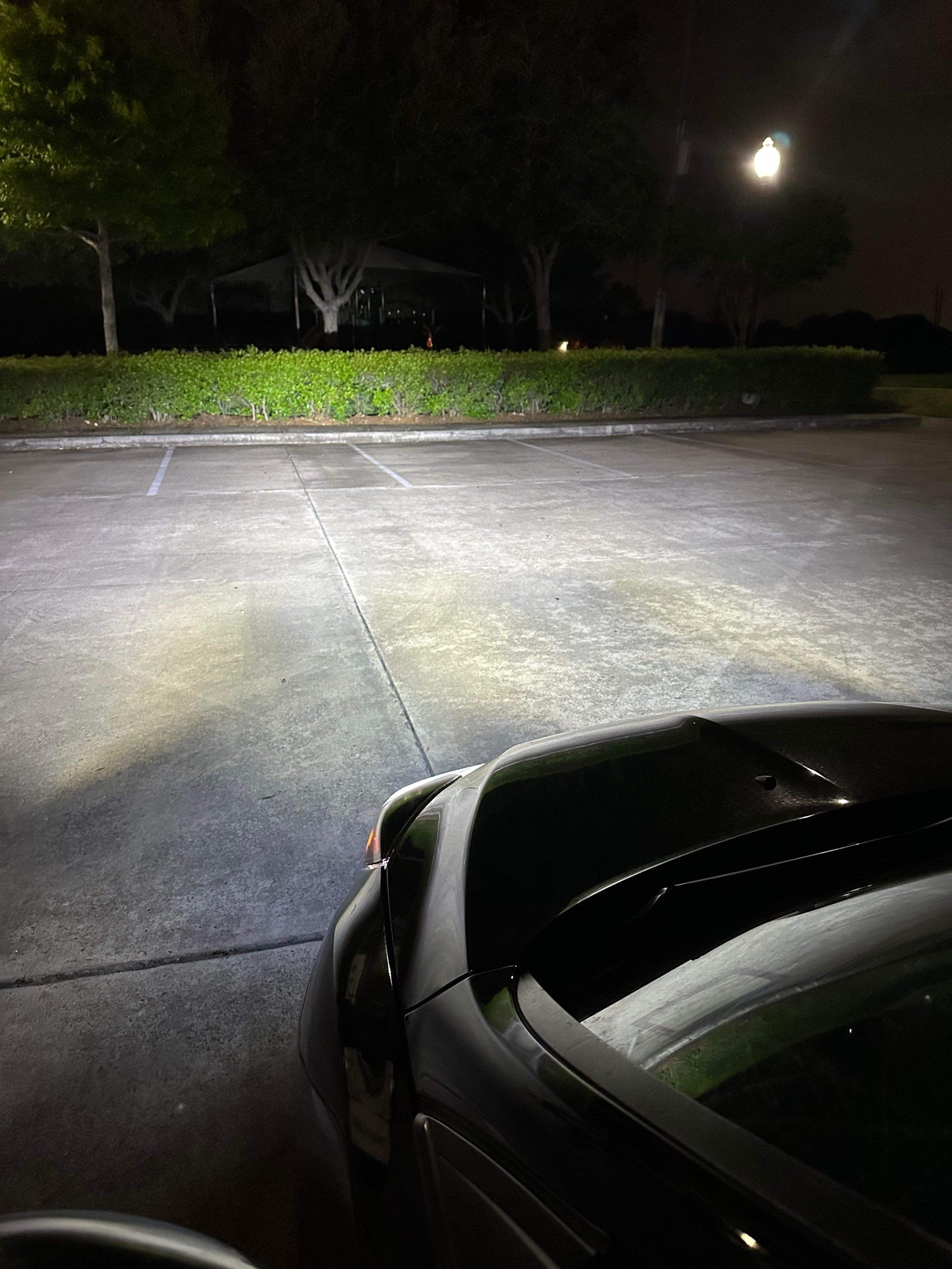 HSF D Series (D3S/D8S) LED Factory HID Replacement Bulbs (2013-2018 Ford Focus ST/RS with OEM Projectors)