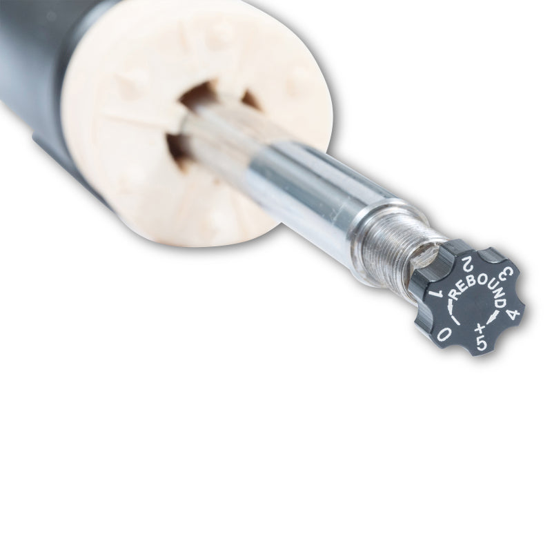 ST XTA Adjustable Coilovers 2015+ BMW M3 (F80) / M4 (F82) - Graveyard Performance