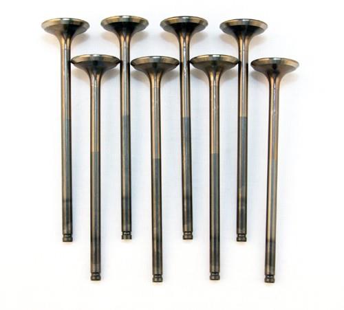 BLOX Racing High Compression Exhaust Valve Set for D-series SOHC VTEC (D16Z-Y) - Graveyard Performance
